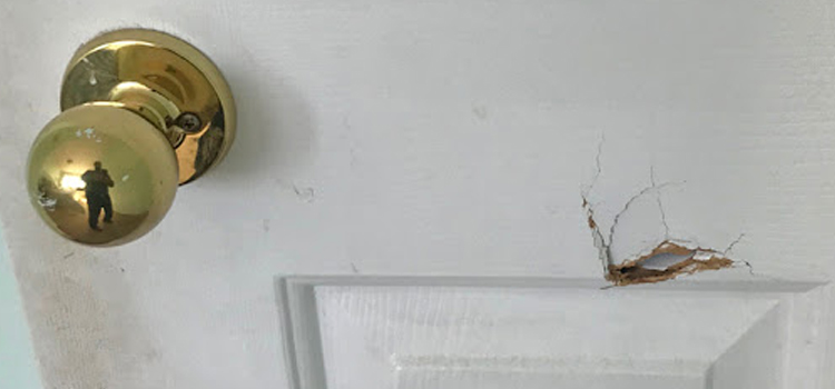 interior door hole repair Newman