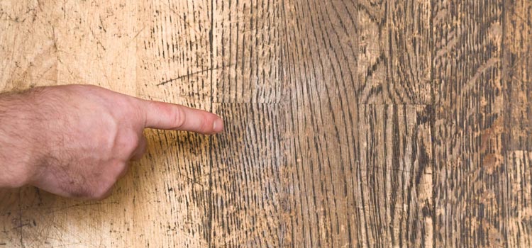 Wood Door Scratch Repair in Newman